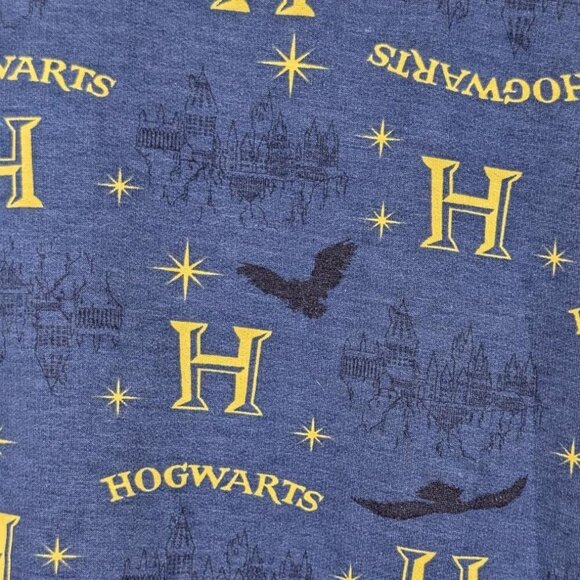 NWT Harry Potter Women's sz L Pajama 2-Piece Set Hogwarts Lounge Warner Brothers - Picture 3 of 11